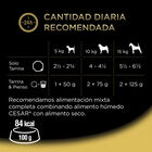 Cesar Receita camponesa terrina em molho para cães - Multipack, , large image number null